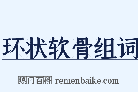 环状软骨组词是什么意思的图片